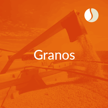 Rumores de nuevas retenciones complicaron el mercado argentino de granos